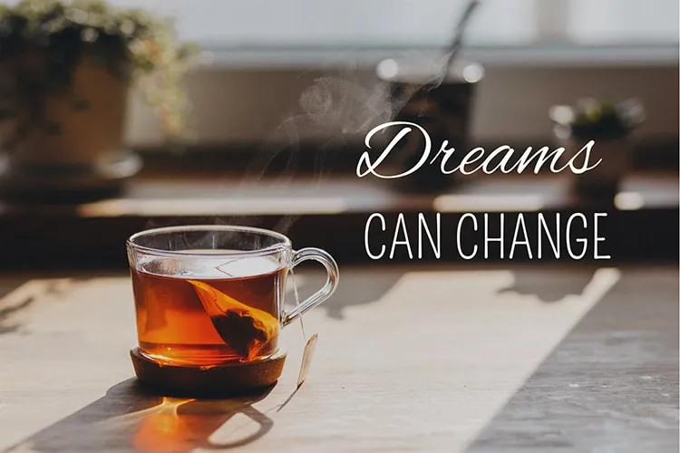 dreams can change advies tussenjaar rebecca