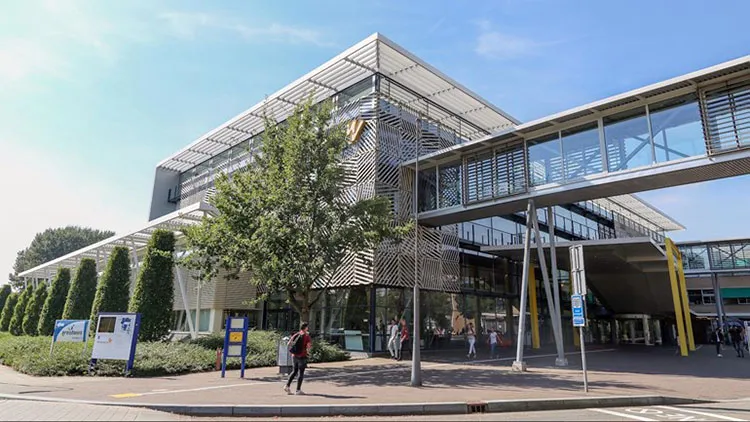 hogeschool Windesheim Zwolle Social Work