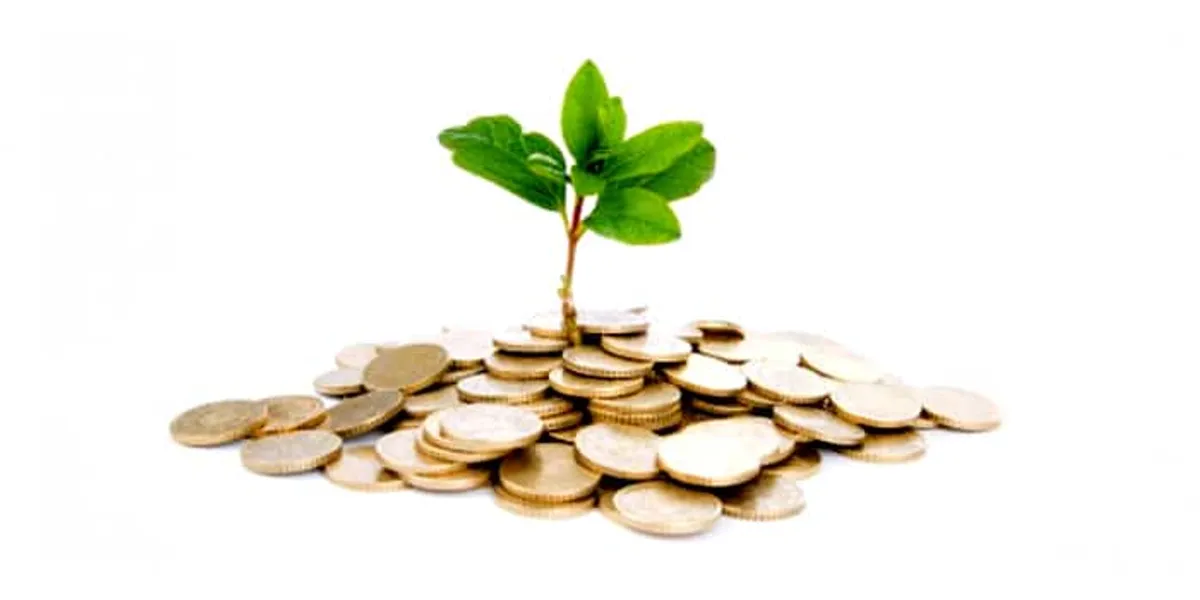 Wat zijn de gevolgen van het leenstelsel voor mij?