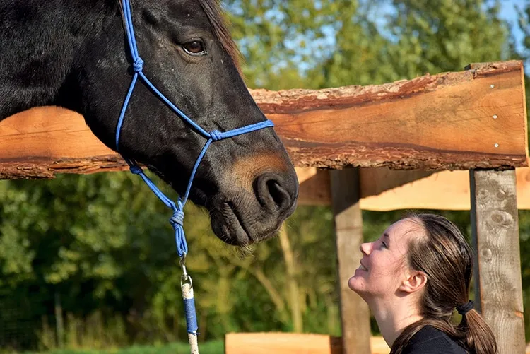tussenjaar Lilianne hulp bij studiekeuze