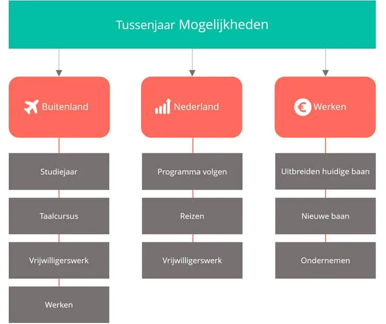 tussenjaar mogelijkheden