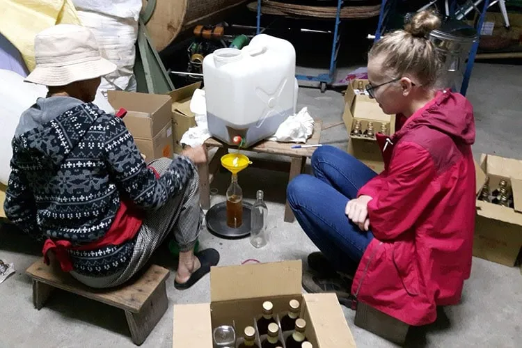 tussenjaar Taiwan theeboerderij proces