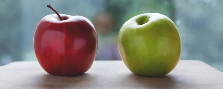 Verschillen HBO en WO