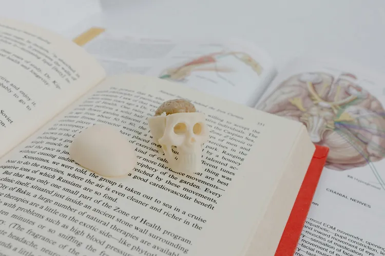 Medische studieboeken en anatomie voor geneeskunde studie