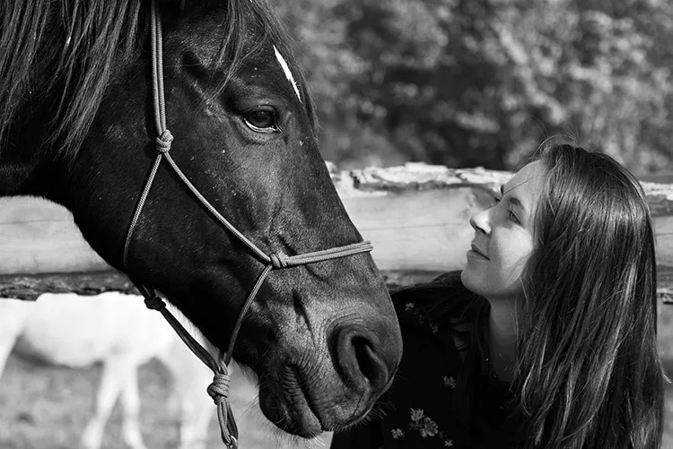 mbo opleiding hippisch management opleidingen tussenjaar rebecca