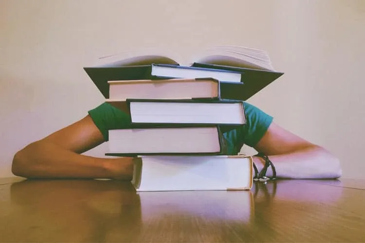 studeren in denemarken leren boeken