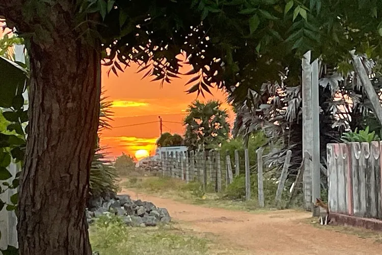 tussenjaar sri lanka 2