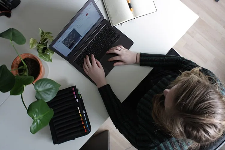 tussenjaar roos welke studie past